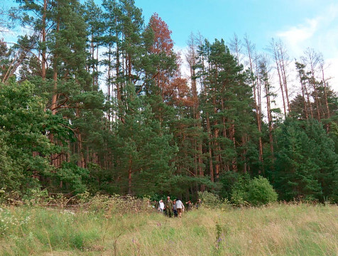 Пеший марафон по пересеченной местности стартовал в Боровском районе