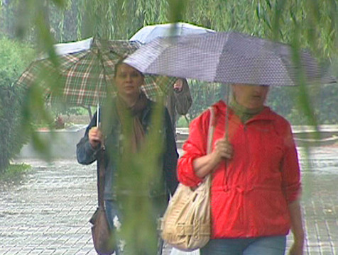 Сильный ветер с дождем ожидается в Калужской области