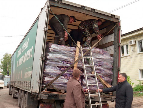 20 тонн картофеля отправят из Бабынинского района в Белгородскую область