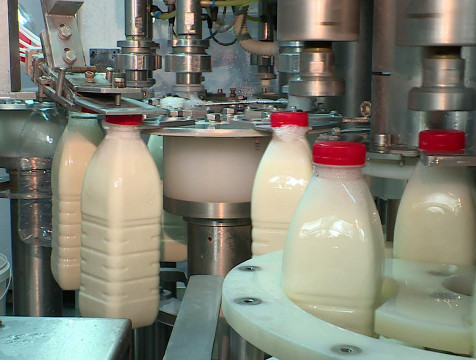 Производство молока в регионе увеличилось на 14% по сравнению с прошлым годом