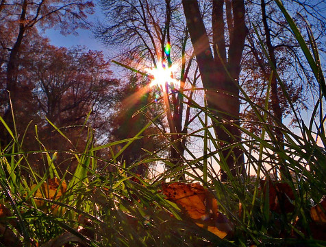 Солнечная погода сменит проливные дожди с середины недели