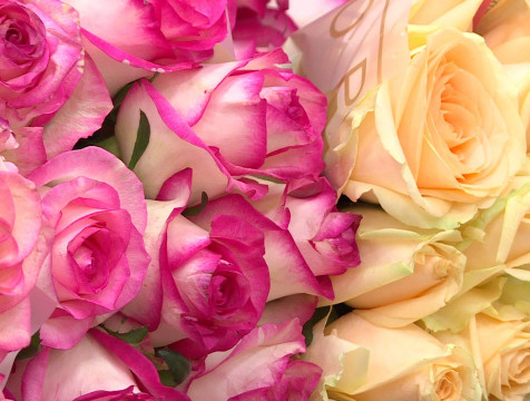 48 калужан-долгожителей в октябре получат поздравления президента России