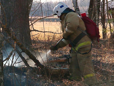 4 природных пожара зарегистрировано в Калужском регионе с начала 2022 года