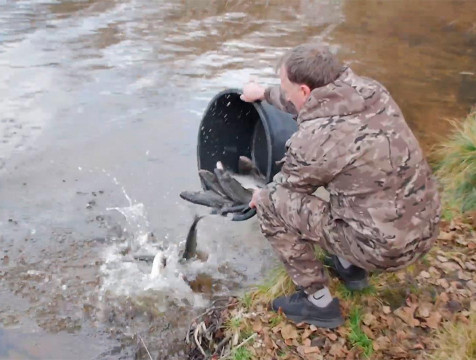 Более 13 тонн рыб-чистильщиков запустили в Людиновское водохранилище