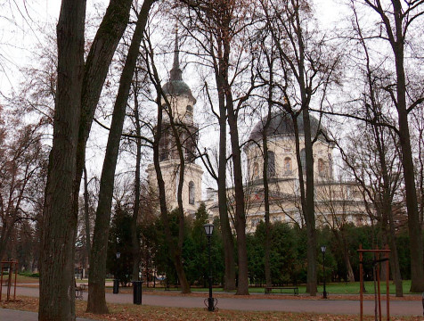 МЧС предупредило калужан об усилении ветра 18 октября