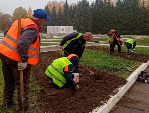На клумбы Калуги начали высаживать тюльпаны