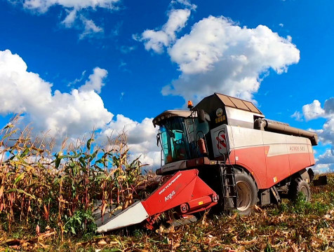 Руководителям калужских сельхозпредприятий увеличат доплаты