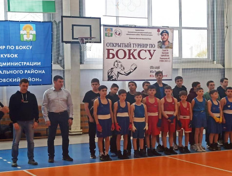 Турнир по боксу памяти героя СВО Магомеда Рашидова прошел в Ферзикове