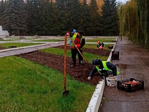 Подготовка цветников к зиме завершилась в Калуге