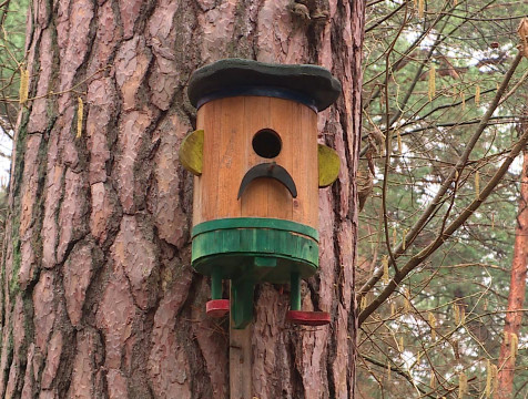 Лучший скворечник выберут в Калужской области