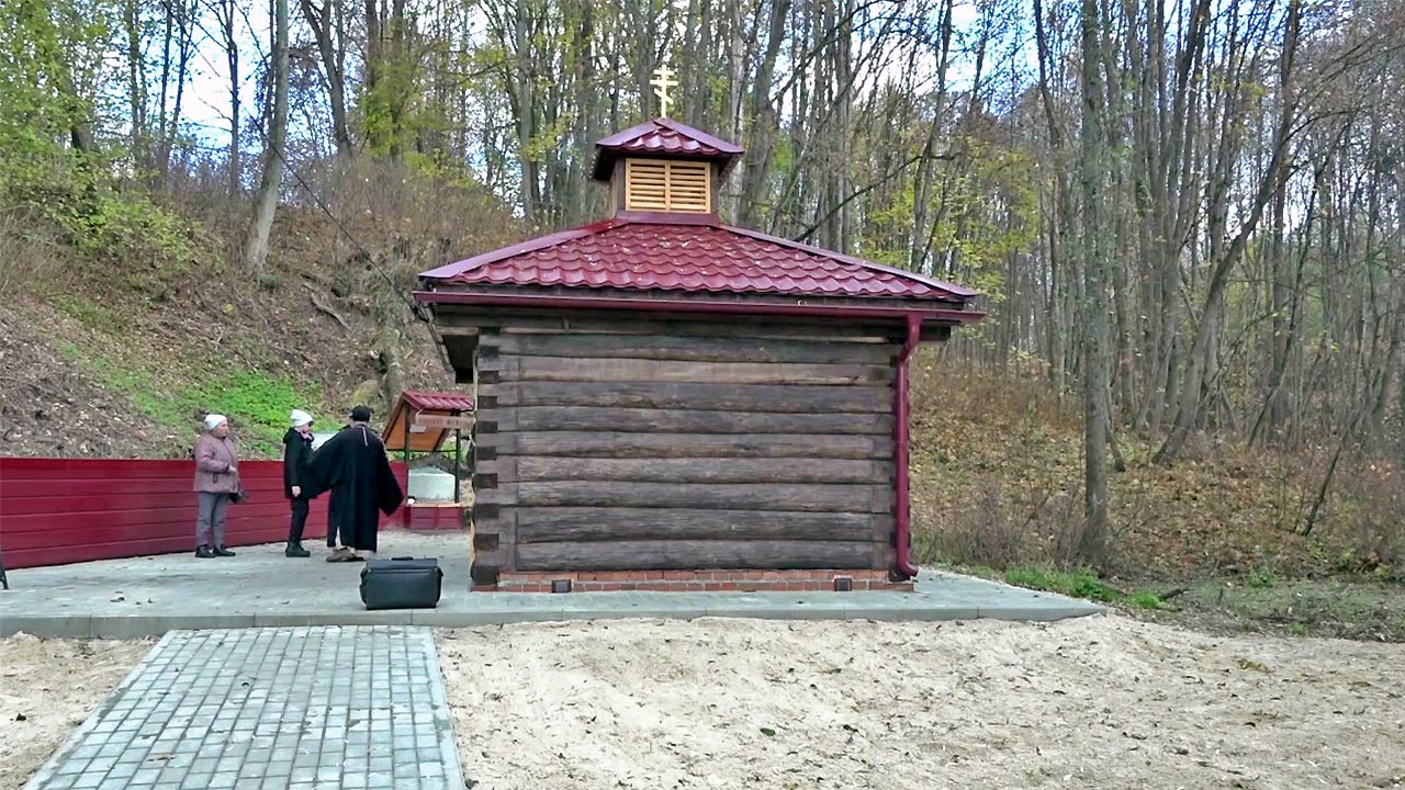 В деревне Анисово-Городище Кировского района благоустроили родник и открыли  купель