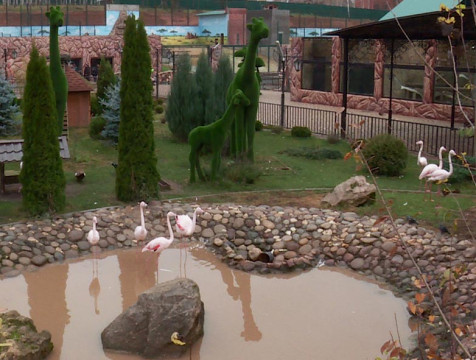 Калужский эко-парк открылся после реконструкции