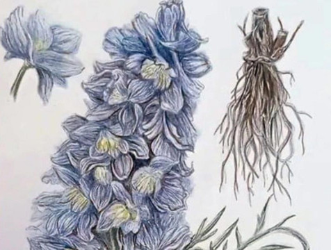 Калужские студентки победили на всероссийской 