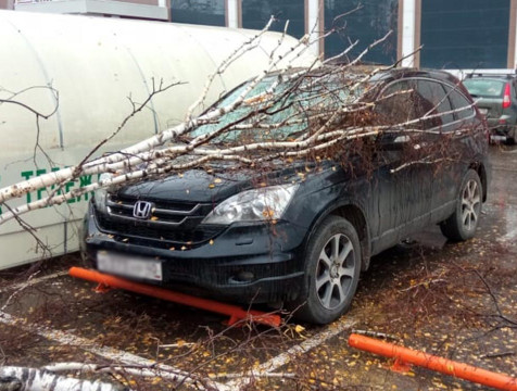 Стало известно о состоянии детей, придавленных деревом в Обнинске