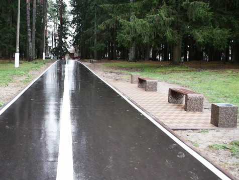 Обустройство Сукремльского лесопарка в Людинове обошлось почти в 10 млн рублей