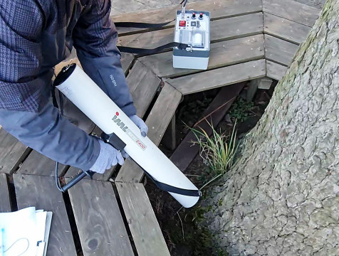 В Городском парке Обнинска провели исследование деревьев