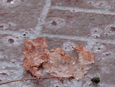 МЧС предупреждает калужан о сильном снеге и гололедице 19 и 20 ноября