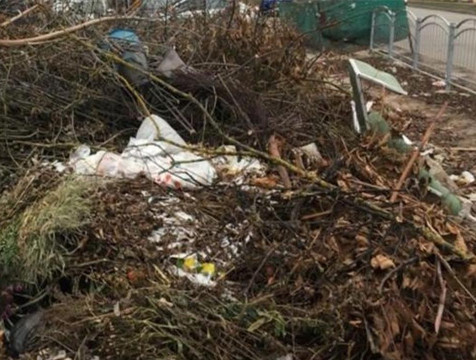 38 стихийных свалок растительных отходов убрали с улиц Калуги за две недели
