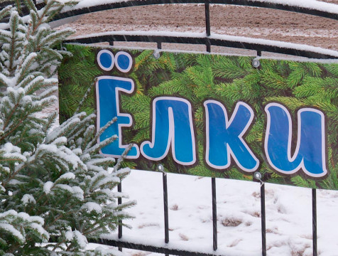 Адреса елочных базаров назвала горуправа Калуги