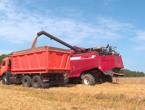 258 тысяч тонн зерна собрали в регионе в прошлом году