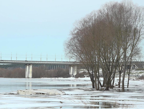 Уровень воды в Оке снизился на 7 сантиметров