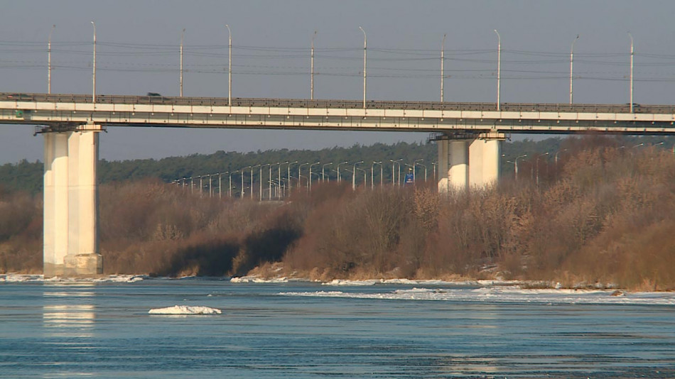 Гагаринский-мост-Ока-0210.jpg