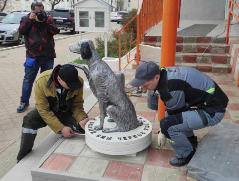 Памятник Белому Биму установили в Калуге