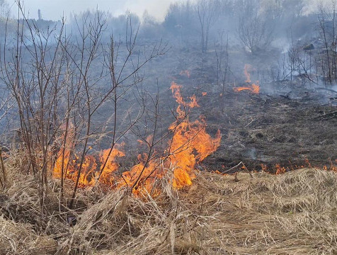 57 палов сухой травы зарегистрировали в Калужской области за сутки