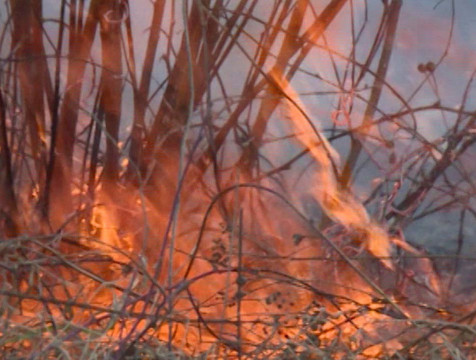 Причиной задымления в Турынине стали горящие трава и покрышки