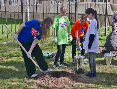 В память о героях Великой Отечественной и СВО в Людинове высадили 