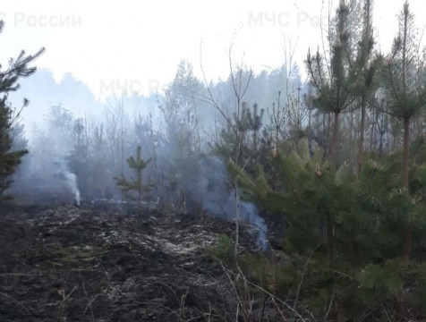 Лесной пожар произошел в Хвастовичском районе