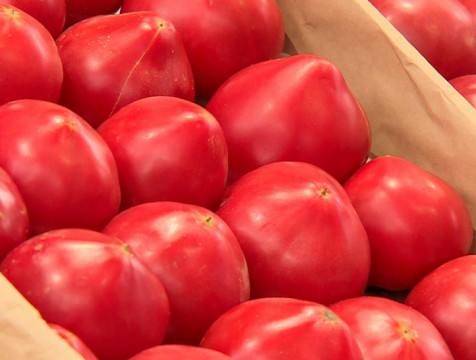 20 тонн зараженных помидоров обнаружили на калужском складе