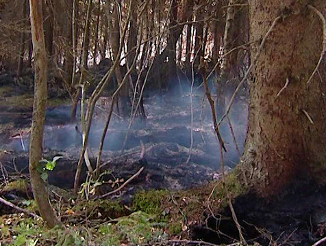 3-й класс пожарной опасности установился в Калужской области