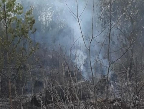 Лесной пожар потушили в Калужской области