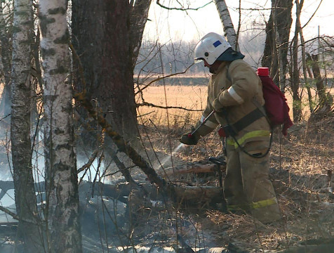 Лесной пожар произошел в Боровском лесничестве