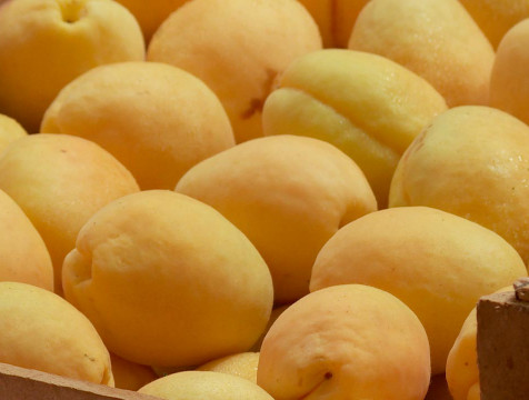 Зараженные вредителем персики и абрикосы обнаружили на калужском складе