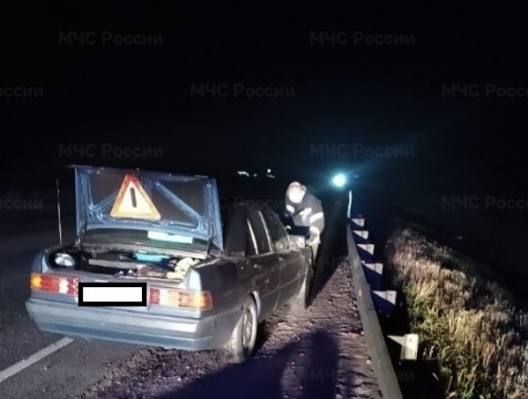 Водитель сбил животное на трассе в Мещовском районе