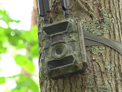 Фотоловушки помогают вычислять засоряющих калужские леса нарушителей