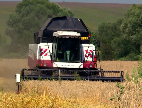 Уборку зерновых калужские аграрии планируют завершить к концу августа