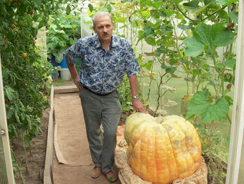 Богатый урожай на одной сотке вырастил калужанин Игорь Дуничев