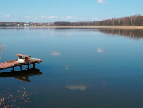 Массовая гибель рыбы произошла на озере Ломпадь в Калужской области