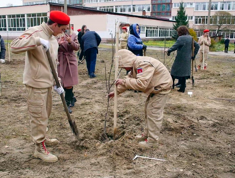 Яблоневый сад 