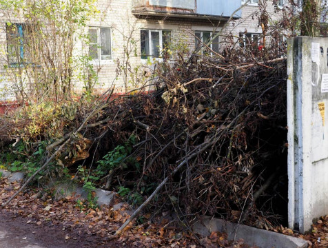 В Калуге увеличилось число жалоб на стихийные свалки