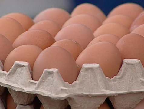 Позором назвал депутат Скляр импорт куриных яиц