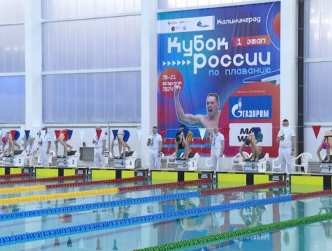 Ещё 7 наград Кубка России по плаванию взяли калужане