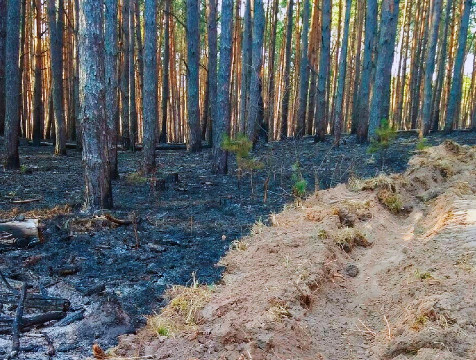 Пожароопасный период в Калужской области начнется в начале апреле