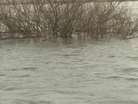 На 75 см поднялась вода в Оке в Калуге за сутки