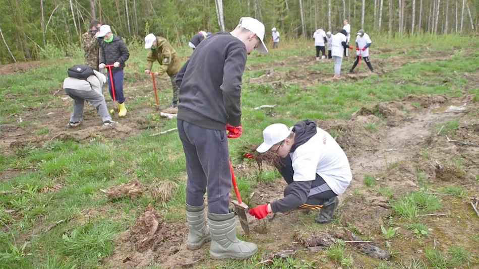 Посадка-деревьев-Людиново0501.jpg