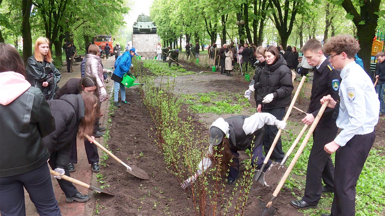 Спиреи высадили в сквере Ветеранов в Калуге в рамках акции 