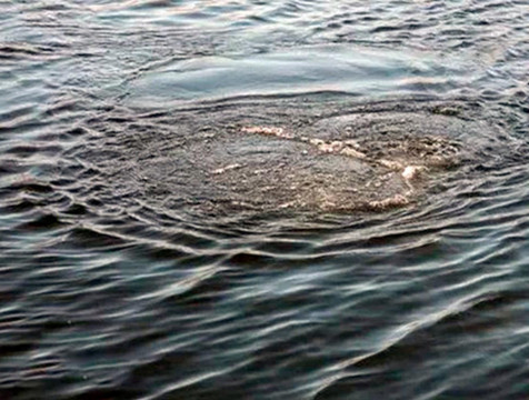 В пруду на окраине Калуги утонул 15-летний школьник